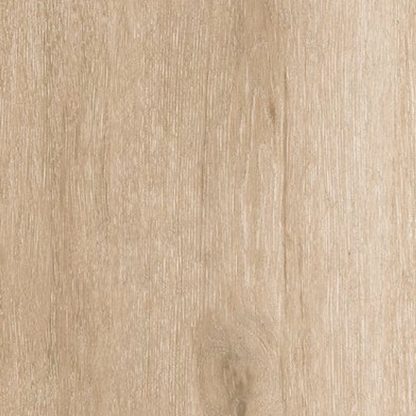 Atelier Beige - Image 2