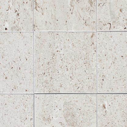 Aurisina Fiorita Polished Marble - Image 2