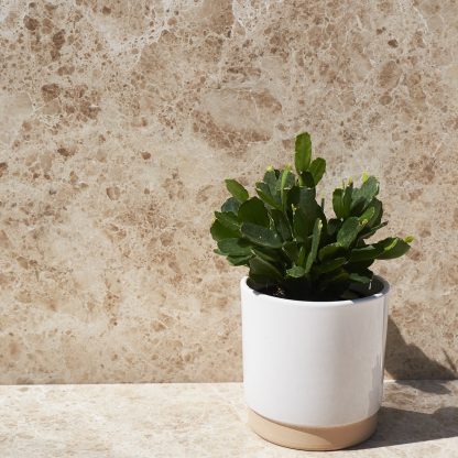 Cappuccino Polished Marble