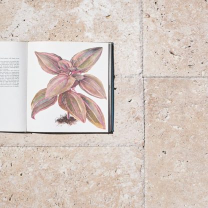 Premium Classic Travertine Unfilled & Brushed Chiselled Edge