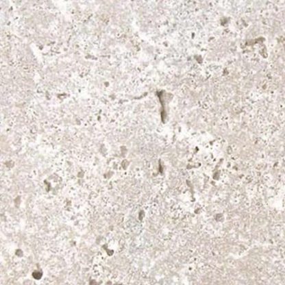 Premium Classic Travertine Unfilled & Tumbled - Image 2
