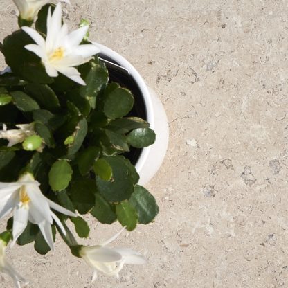 Dijon Limestone Tiles Tumbled - Image 2