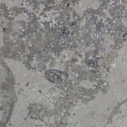Jura Grey Blue Polished Limestone - Image 2