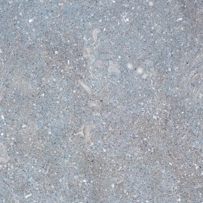 Seagrass Honed Limestone - Image 4