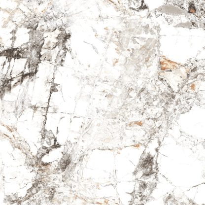 Zebra White Polished Porcelain - Image 2